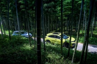 乘风破浪的XR-V 携手80万X合伙人开启X速度