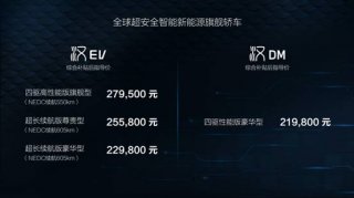 30万元价位新能源车标杆 由这款中国车定义