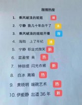 从“乘风破浪的姐姐”出圈 看SUV界“带头大哥”