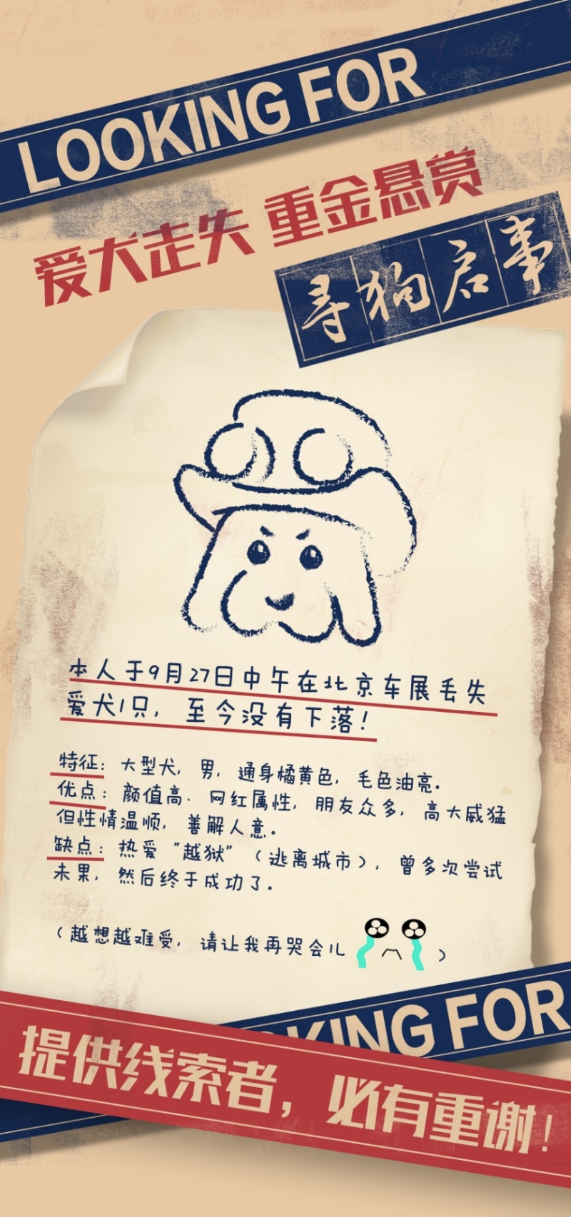 一张寻狗启事 一位“新旅伴” 一起潮野阿拉善