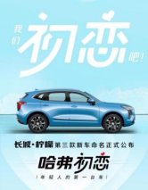 哈弗初恋 Z世代青年的人生第一辆车
