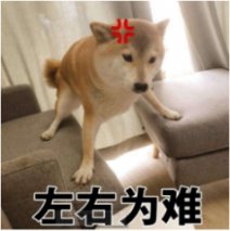 这水准的入门级哈弗初恋创造“不可能”