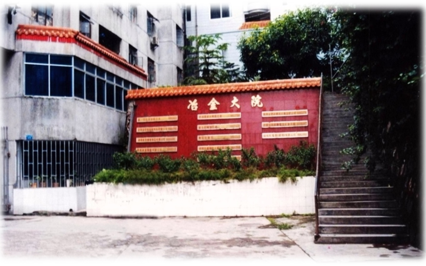 先行者比亚迪：敢闯敢创 成就梦想