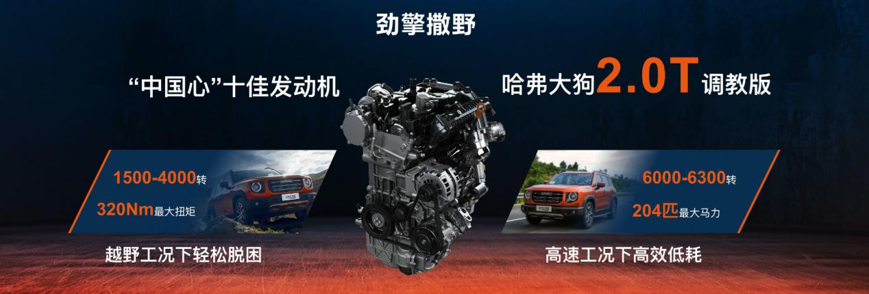 16.19万，带2把锁的城市SUV！哈弗大狗2.0T“中华田园犬”预售开启