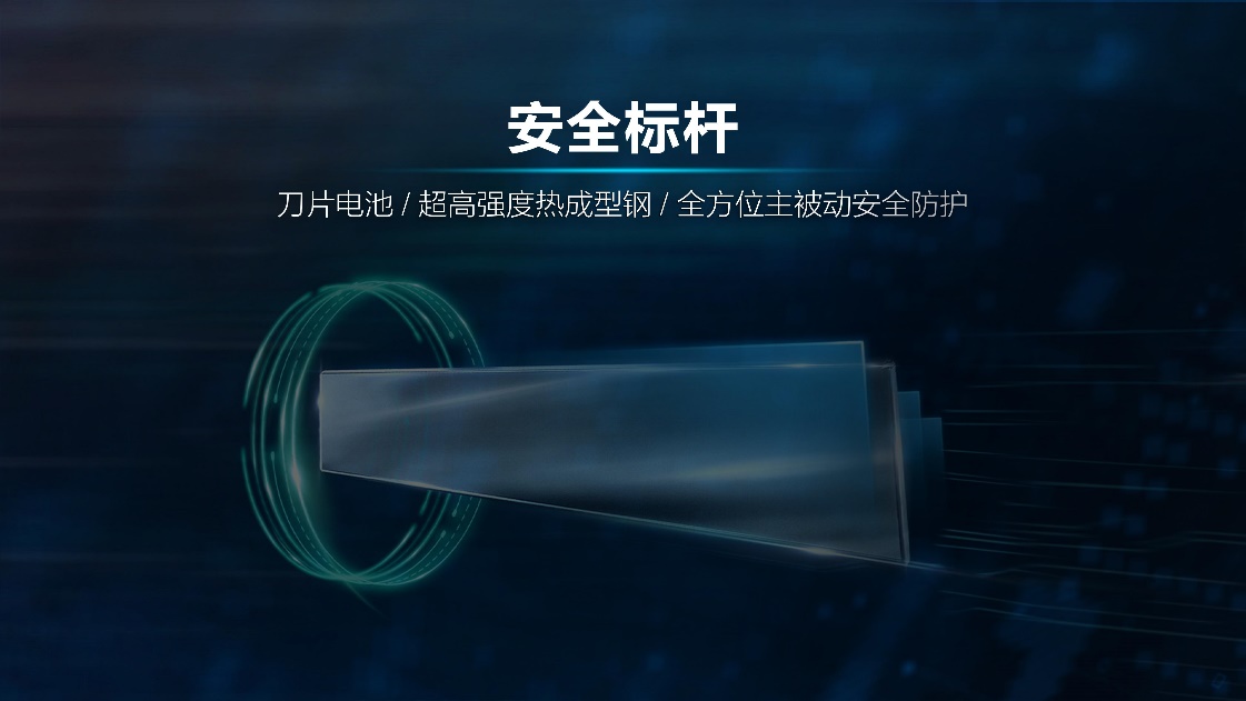 2020完美收官 比亚迪汽车“换标”展望2021!