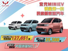 销量第一的民族新能源汽车!宏光MINIEV年度销量127,651辆