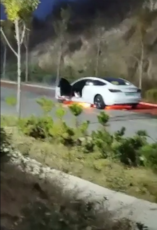 安全的汉与“割韭菜”的model3 你选谁?