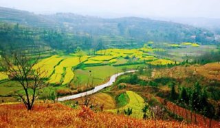 最是一年春好处、登山踏青正当时 这份攻略请收好！