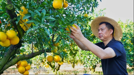 长城皮卡爆红的“背面” 看完你一定说它值得!