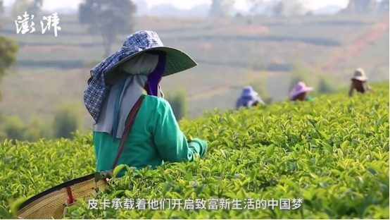 长城皮卡爆红的“背面” 看完你一定说它值得!