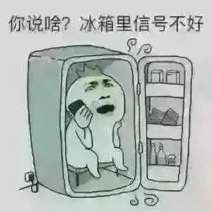有TA夏天太舒服了吧！