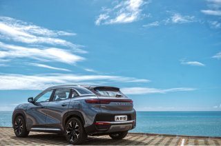 同级纯电SUV,满足不同需求 大蚂蚁才是15万级纯电SUV首选?