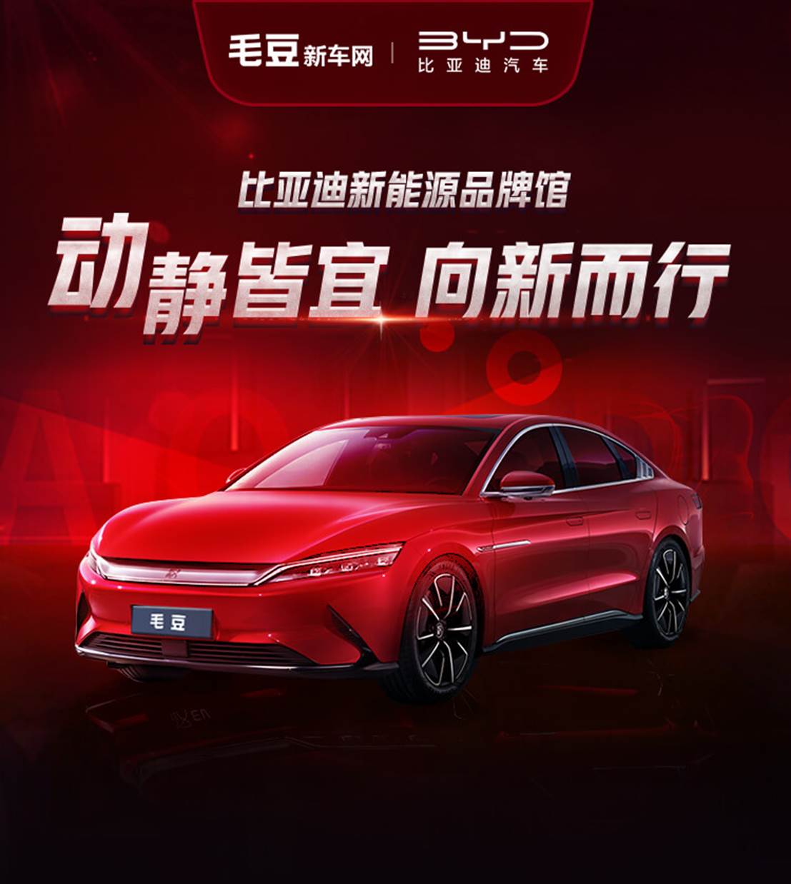 选油车还是新能源车？毛豆新车助力消费者轻松选购