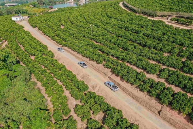 近200万用户质选 长城风骏皮卡实力开启创富生活
