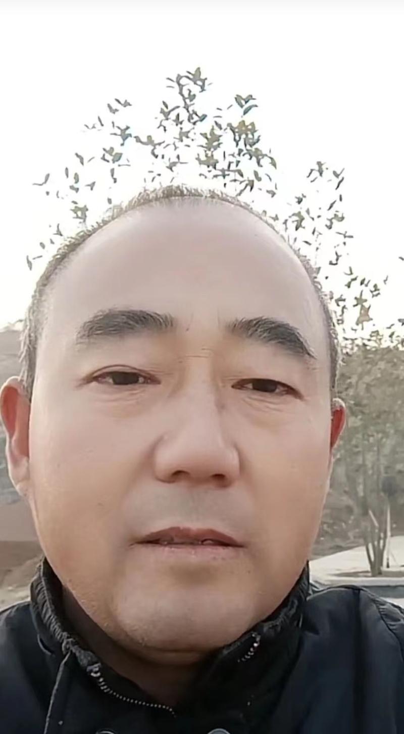 上市即成爆款,“三十年老司机”与“欧马可X”的双向奔赴