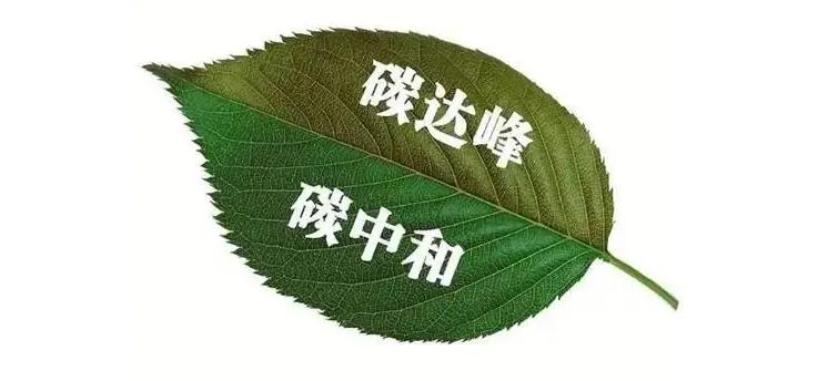 混动可不止日系 盘点那些混动领域弯道超车的自主品牌