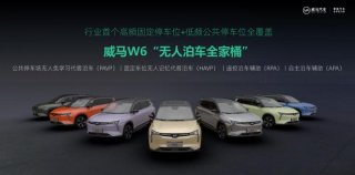 威马发布全新公共停车场无人免学习代客泊车技术（PAVP），首发搭载威马W6车型
