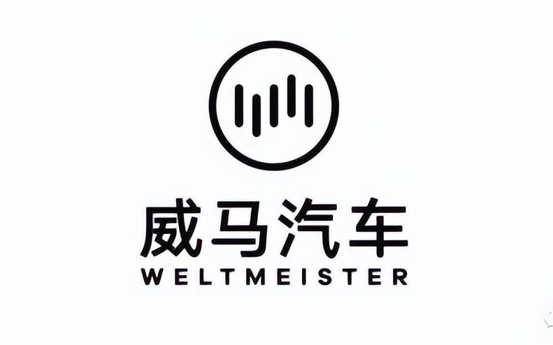威马在招股书中提出：把AI技术覆盖在主流车型上