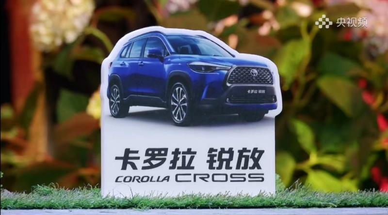 选择卡罗拉 锐放,玩转周末新花young