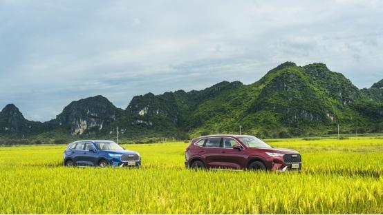 超百冠月销,主打城市、家用的哈弗H6,如何缔造低油好生活