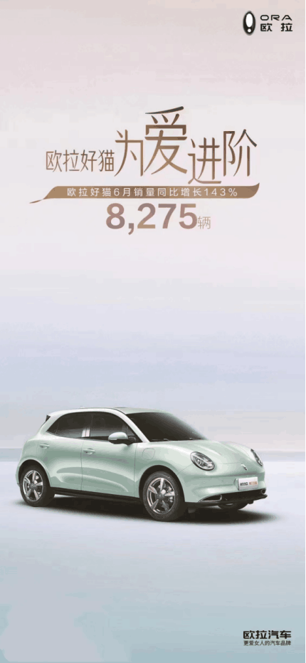 乘风破浪,为爱进阶 欧拉好猫6月畅销8275辆,同比劲增143%