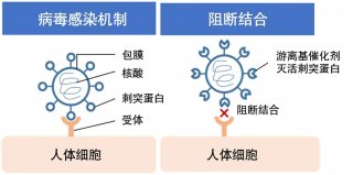 日产汽车与日本东北大学药学院共同成功研发灭活病毒的空气氧化催化剂技术