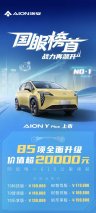 国服榜首战力再飙升,AION Y Plus售价13.98万元起