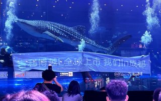 12.57万起售！三种动力、六款配置 吉利博越L全国联动上市发布