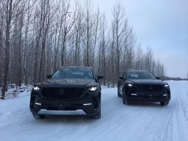 MAZDA CX-50测试谍照曝光,新车预计5月上市