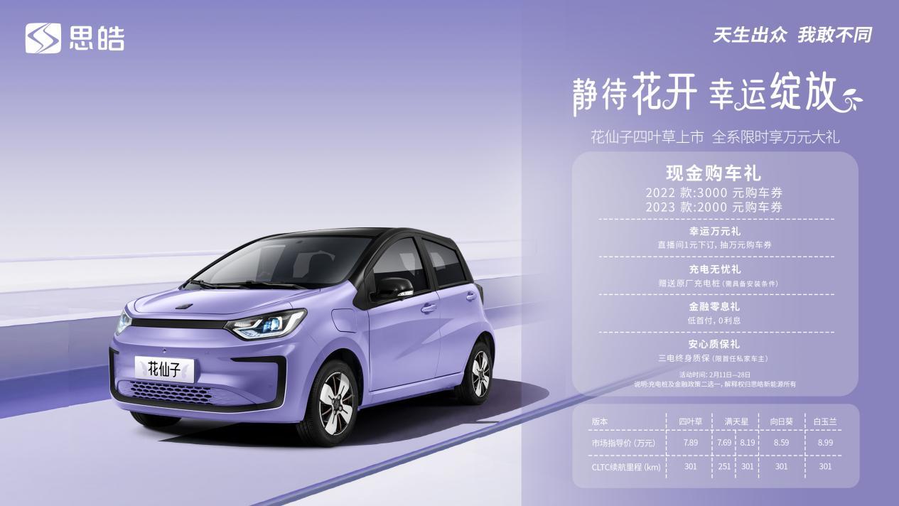 A00级也降价！纯电小车“天花板”思皓花仙子限时优惠仅剩一周 
