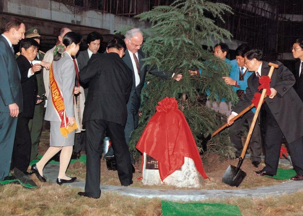 中德友谊树“搬新家”，常青树下的故事仍在继续