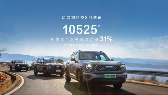 h全能实力，销量斐然 哈弗大狗品类3月劲销10525辆