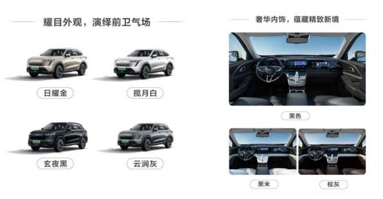 打造个性化定制,哈弗枭龙系列专属定制车来了