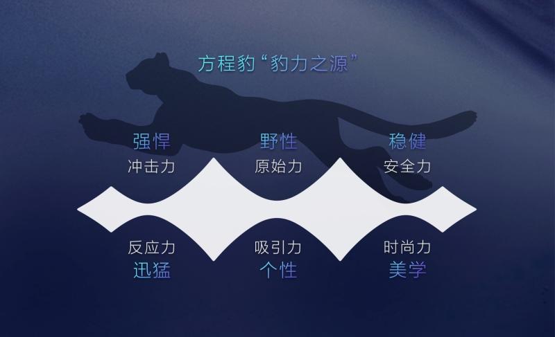 方程豹发布LOGO:以秩序之美、感性之力聚合“豹力之源”