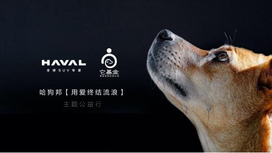 潮玩旅伴 荣耀进阶,2024款哈弗大狗带你城野纵横