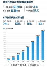 技术为先 产品为王，长城智能新能源连续“起跳”之路