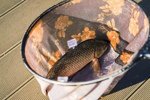 当顶流皮卡遇见高端垂钓 江西五十铃"2023这就是钓鱼"长春站完美收官