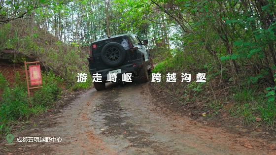 科技创新打开发展新天地，东风公司向新赛道突飞“猛”进