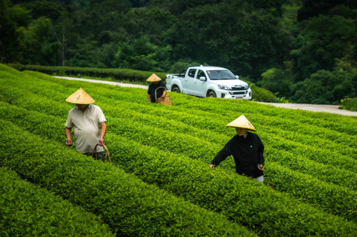 十年新愿初心不忘,江西五十铃打造皮卡营销新样本第7张-卡车界 十年新愿初心不忘,江西五十铃打造皮卡营销新样本第7张