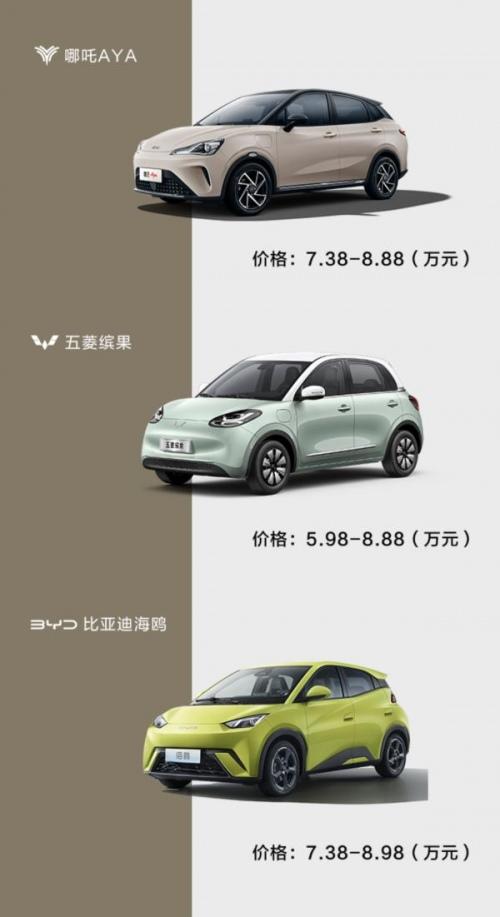 想买一款大玩具驶向2024年,哪吒AYA、缤果、海鸥该如何选?
