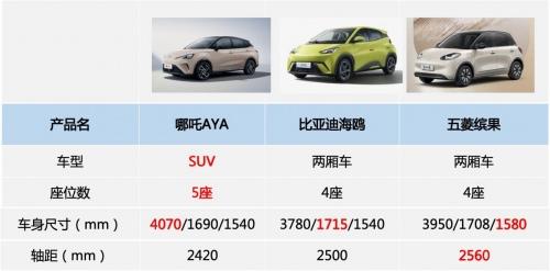 想买一款大玩具驶向2024年,哪吒AYA、缤果、海鸥该如何选?
