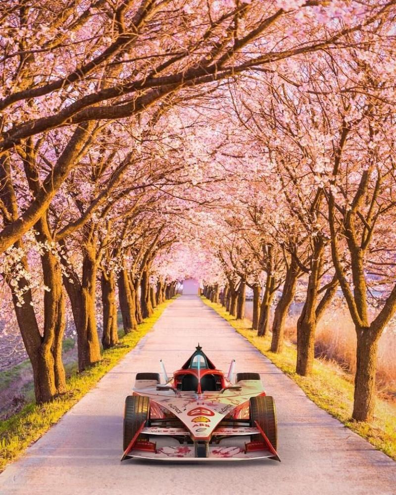 日产Formula E车队将主场出战东京站比赛