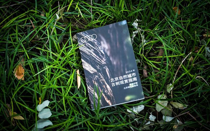 世界城市日——《北京自然城市古树观赏指南》发布,奥迪中国邀您共绘绿色美好宜居城市画卷
