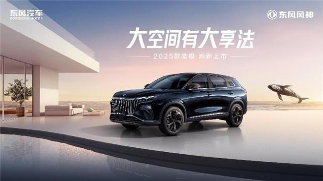 大空间有大享法, 2025款皓极开启全新家庭生活方式