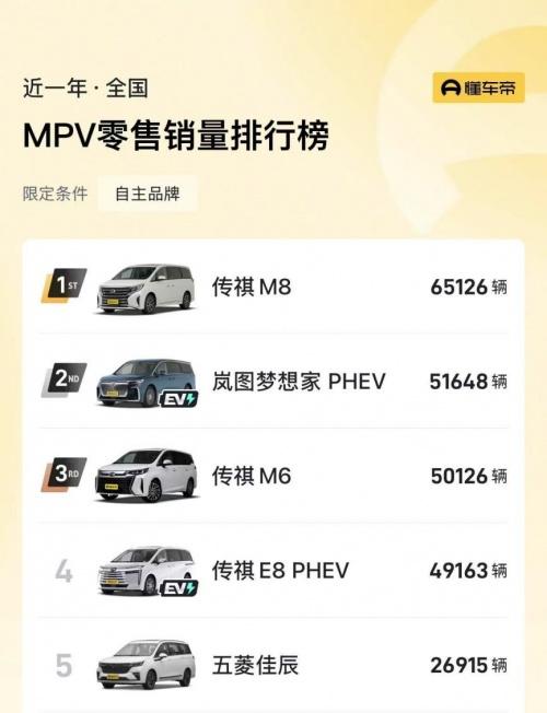 还得是专家!中国MPV专家出手,完美契合需求的操作简直绝了