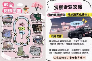 岚图知音护航武汉樱花季，免费接驳游客畅游满城美景