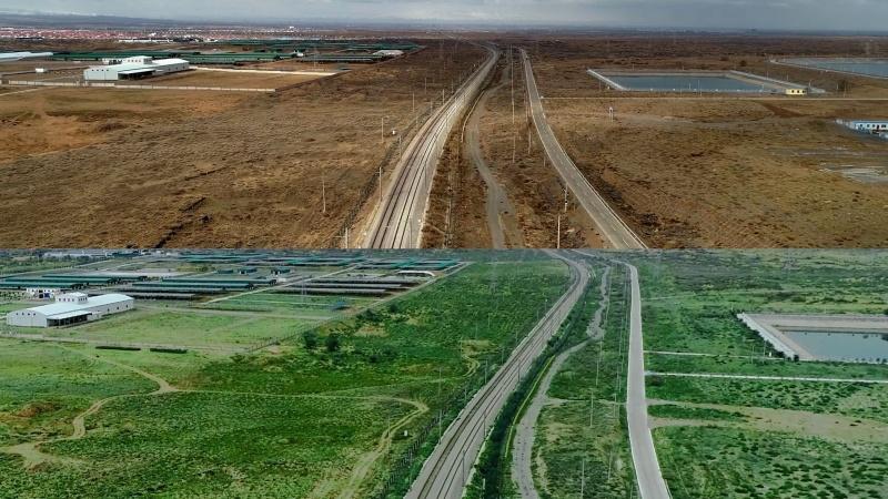 大众汽车集团(中国)耕绿五载:两千万平米沙地重焕生机