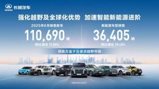 领跑方盒子市场 长城汽车6月方盒子车型销售4.84万辆 同比增长14.39%