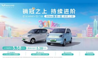 销冠之上，持续进阶！宏光MINIEV四门版推出301km续航车型，置换补贴价5.28万元