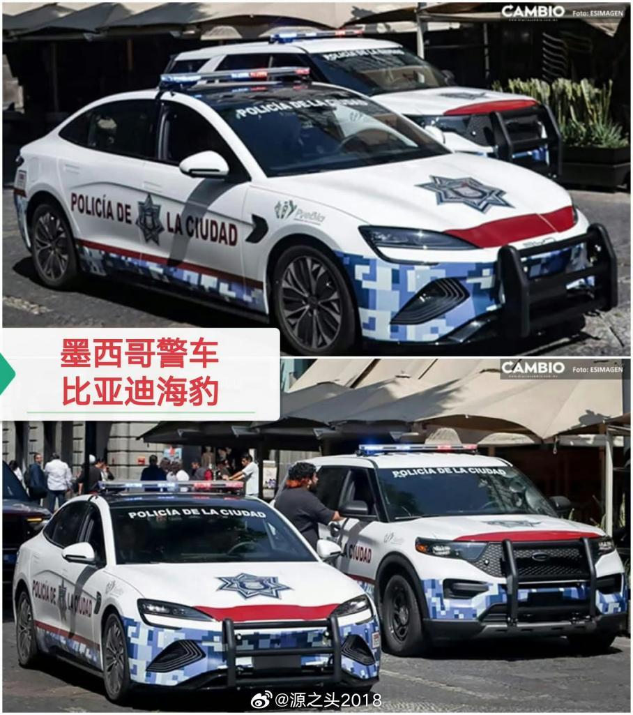 比亚迪喜提“国际编制”，海外公务车市场刮起中国风